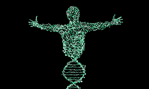 DNA Mensch Gene Gentechnik Erbgut