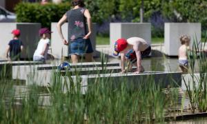 Kleine Gartenschau Wassertrüdingen 2019
