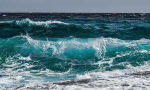Meer