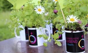 Blumen EJB Evangelische Jugend Bayern