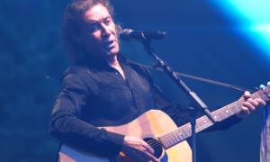 albert hammond