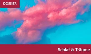 Schlaf Traum Dossier