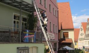 In Spalt wurden zwei Jungstörche tot aufgefunden
