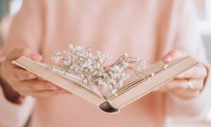 Buch traum Fantasie
