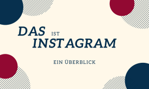 Instagram Webinar Artikel