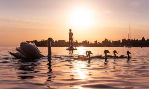 Wasser im Fokus: Der Ökumenische Tag der Schöpfung wird am 4. September am Bodensee gefeiert