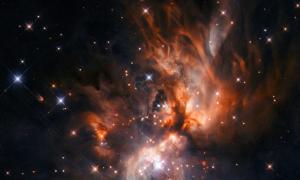 Eine Sternkinderstube auf einer Aufnahme des Hubbleteleskops