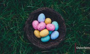 Ein Nest mit bunten Eiern auf einer Wiese