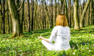 Eine Frau sitzt inmitten eines Blumenfelds im Wald.