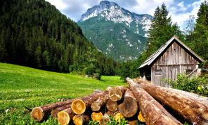 Eine Hütte mit Baumstämmen, dahinter die Berge