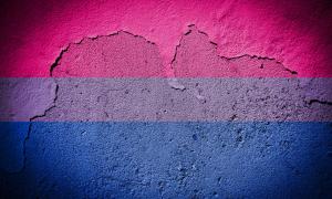 Die bisexuellen Farben auf einer Wand.