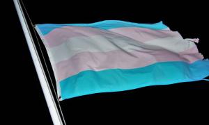 Die Transgender-Flagge