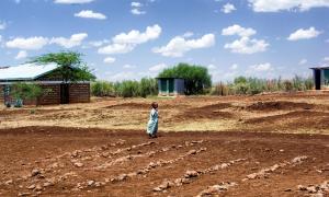 Dürre in Kenia