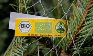 Eine Bio-Tanne