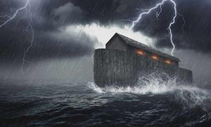 Arche Noah
