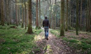 Waldspaziergang