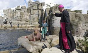 Tiere der Bibel