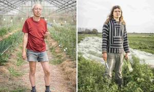 Links ein Gärtner im Gewächshaus, Rechts ein Gärtner im Freien