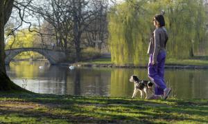 Eine Frau mit einem Hund am Flussufer