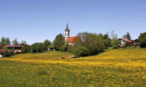 Evangelische Kirche auf dem Land