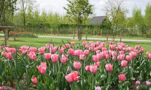Landesgartenschau 2024 Kirchheim