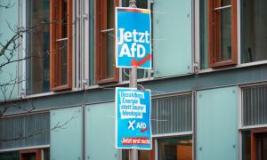AfD-Wahlplakate mit der Aufschrift "Jetzt erst recht" und "Bezahlbare Energie statt teurer Ideologie"