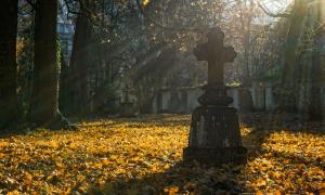 Ein steinernes Kreuz auf einem Friedhof, auf dem Boden liegt Laub, die Sonne scheint durch die umstehenden Bäume