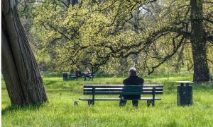 Eine Person sitzt alleine auf einer Bank im Park