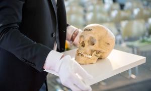 Ein menschlicher Schädel auf einer weißen Platte, ein Mann mit weißen Handschuhen hält diese