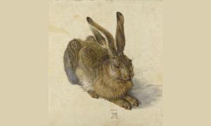 Ein Hase gemalt
