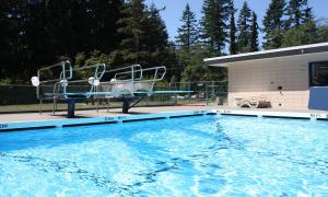 Ein Schwimmbecken mit zwei Sprungbrettern, dahinter Bäume