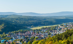 Unterfranken Bad KissingenLandschaft Wald