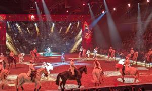 So sah es 2025 in der Nürnberger Arena bei "Cavalluna" aus.